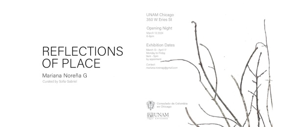 Consulado Colombia en Chicago y la Universidad Nacional Autónoma de México -UNAM- presentarán la exhibición de la artista plástica colombiana Mariana Noreña, el 13 de marzo de 2024